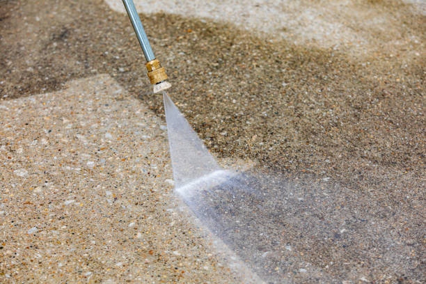 Best Animal Enclosure Cleaning  in Guymon, OK